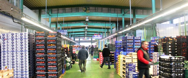 Mercagranada y Trevenque Group